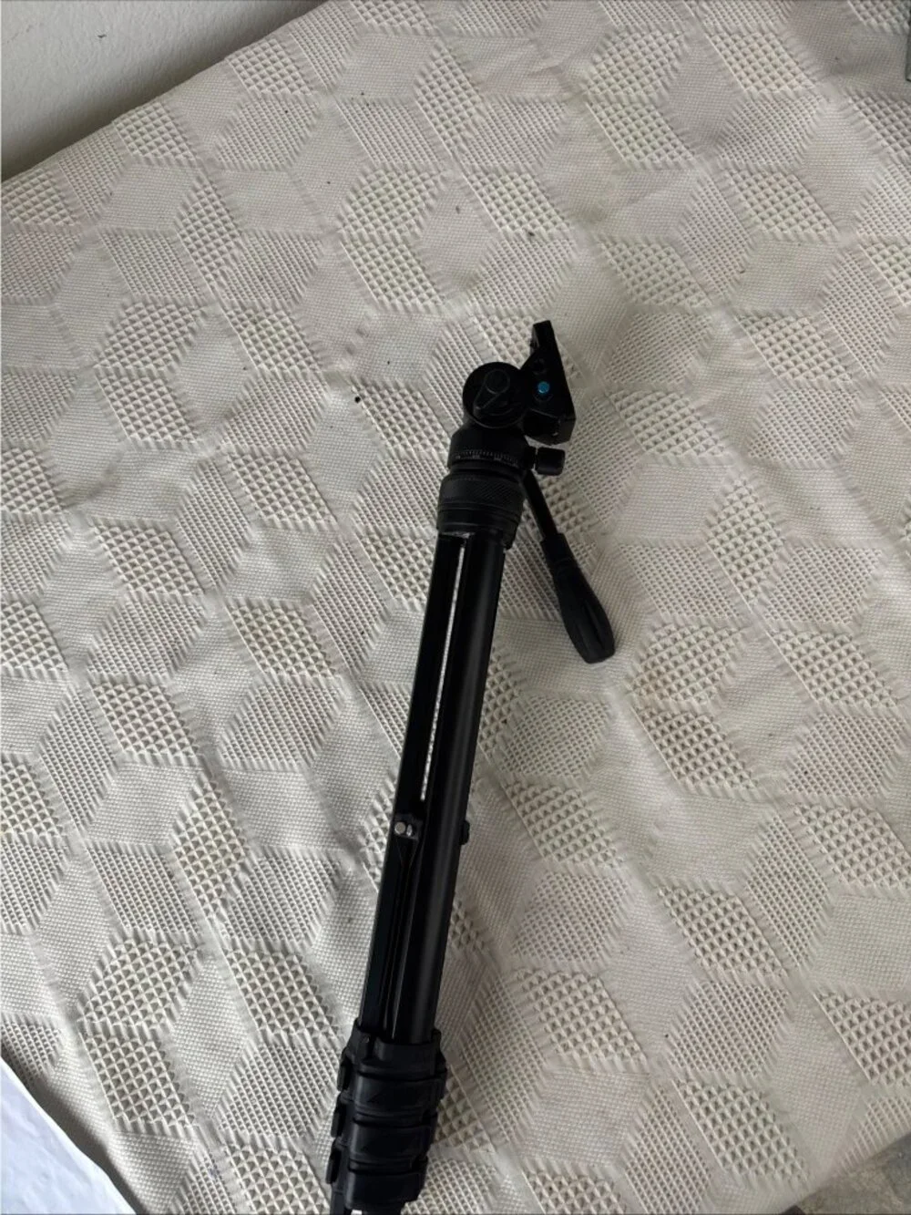 Lightweight Black Camera Tripod w Adjustable Head & Quick Release Plate